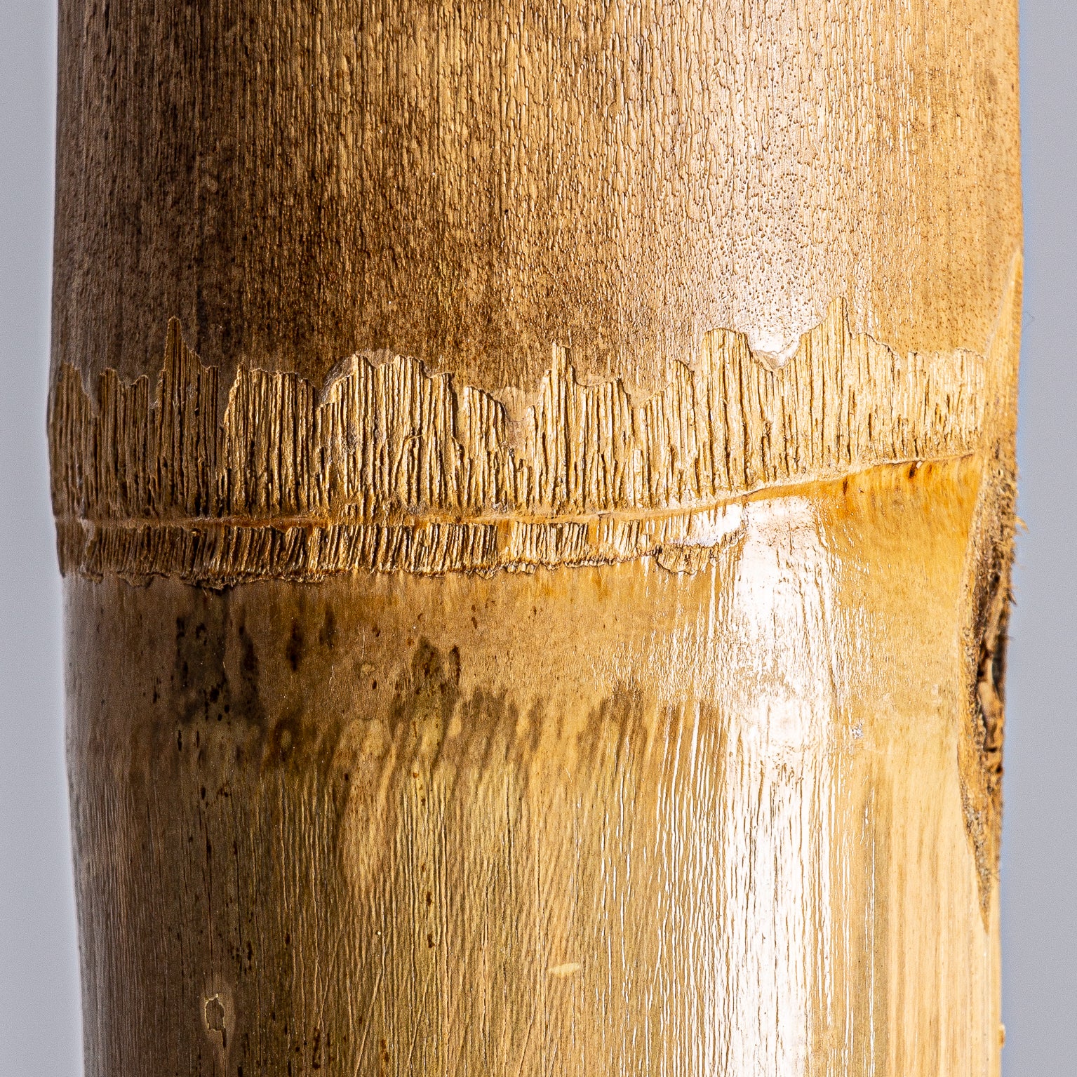 DECORATIVE CANE